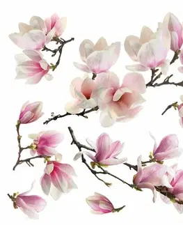Samolepky na zeď Samolepicí dekorace Magnolia blossom, 30 x 30 cm