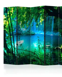 Paravány Paraván Kursunlu Waterfalls Dekorhome 225x172 cm (5-dílný)