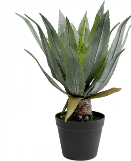 Umělé rostliny KARE Design Dekorativní rostlina Agave 40cm