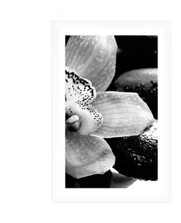 Černobílé Plakát s paspartou exotická orchidej v černobílém provedení