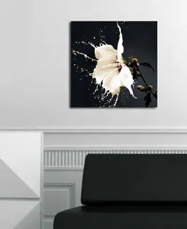 Obrazy Wallity Obraz LUCCILLA  45x45 cm černý/bílý