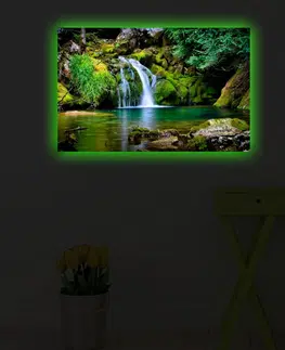 Obrazy Wallity Obraz s LED osvětlením PŘÍRODA 34 45 x 70 cm