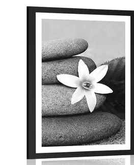 Černobílé Plakát s paspartou květ a kameny v písku v černobílém provedení