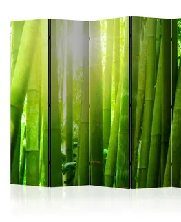 Paravány Paraván Sun and bamboo Dekorhome 225x172 cm (5-dílný)