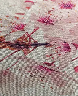 Obrazy květů Obraz růžové květy třešně
