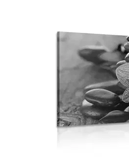 Černobílé obrazy Obraz orchidej a Zen kameny v černobílém provedení