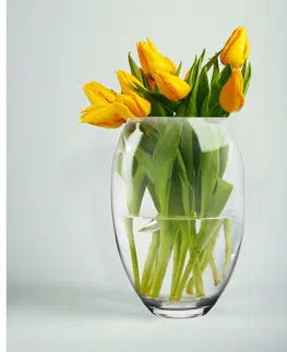 Vázy skleněné Crystalex Skleněná váza, 15,5 x 22,5 cm 
