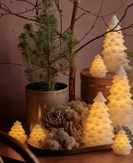 Vánoční vnitřní dekorace Sirius Dekorativní světlo LED Carla, bílý voskový stromek 16 cm