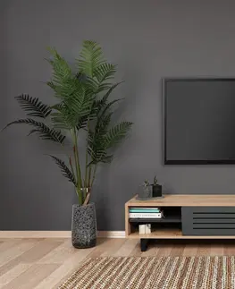 Televizní stolky Televizní stolek SAFIR borovice, šedý