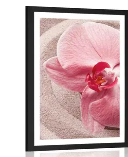 Květiny Plakát s paspartou mořský písek a růžová orchidej