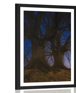 Příroda Plakát s paspartou stromy v noční krajině