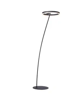 Stojací lampy Paul Neuhaus Paul Neuhaus Titus stojací lampa antracit stmívač