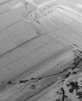 Černobílé obrazy Obraz třešňová větvička a lucerničky v černobílém provedení