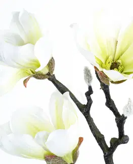 Květiny Umělá květina Magnolie bílá, 55 cm