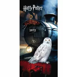 Ručníky Jerry Fabrics Osuška Harry Potter "Hedwig", 70 x 140 cm 