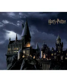 Tapety Dětská fototapeta Harry Potter 252 x 182 cm, 4 díly