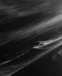 Černobílé obrazy Obraz futuristická planeta v černobílém provedení