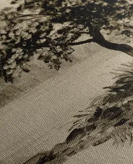 Černobílé obrazy Obraz orientální třešeň v sépiovém provedení