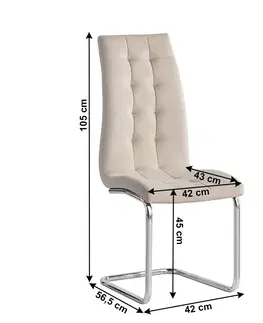 Židle Jídelní židle SALOMA NEW Tempo Kondela Béžová