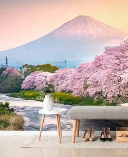 Samolepící tapety Samolepící fototapeta nádherné Japonsko