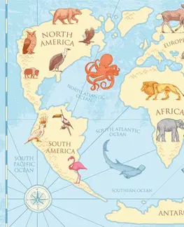 Tapety mapy Tapeta mapa světa se zvířaty