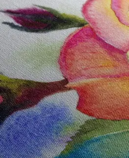 Obrazy květů Obraz růže v růžových odstínech