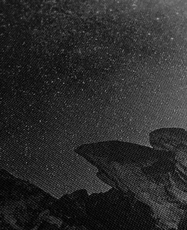 Černobílé obrazy Obraz hvězdná obloha nad skalami v černobílém provedení