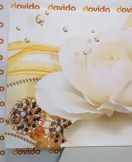 Obrazy květů Obraz luxusní růže s abstrakcí