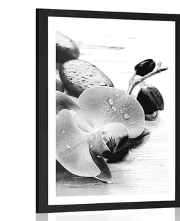 Černobílé Plakát s paspartou kouzelná souhra kamenů a orchideje v černobílém provedení