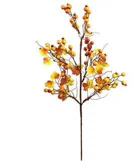 Květiny Podzimní větvička se šípky, 60 x 15 cm