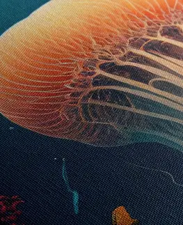 Obrazy podmořský svět Obraz surrealistická medúza