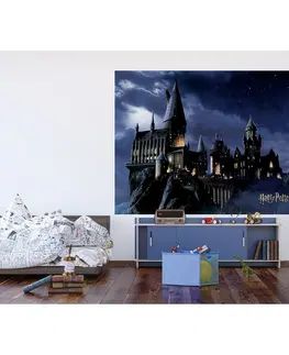 Tapety Dětská fototapeta Harry Potter 252 x 182 cm, 4 díly