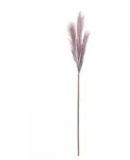 Umělé květiny Pampová tráva 100cm light violet