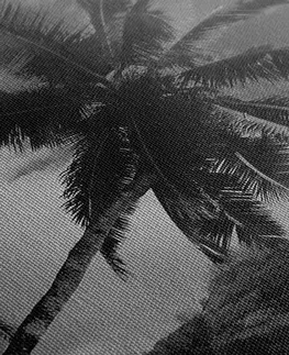 Černobílé obrazy Obraz nádherná pláž na ostrově Seychely v černobílém provedení