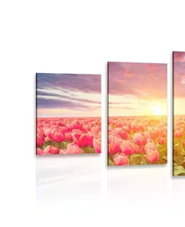 Obrazy květů 5-dílný obraz východ slunce nad loukou s tulipány