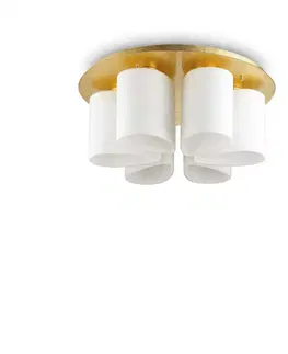 Moderní stropní svítidla Stropní svítidlo Ideal Lux Daisy PL6 247779 E27 6x60W IP20 60cm zlaté
