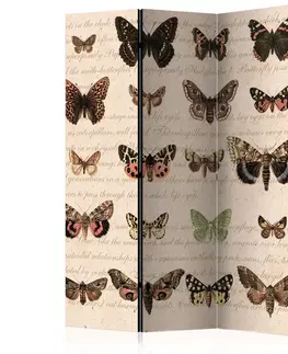 Paravány Paraván Retro Style: Butterflies Dekorhome 135x172 cm (3-dílný)