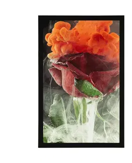 Květiny Plakát růže s abstraktními prvky