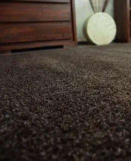 Koberce a koberečky Dywany Lusczow Kusový koberec SHAGGY MICRO hnědý, velikost 180x270
