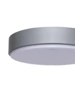 Svítidla  B.V.  - LED Stropní svítidlo LED/20W/230V 6500K šedá 