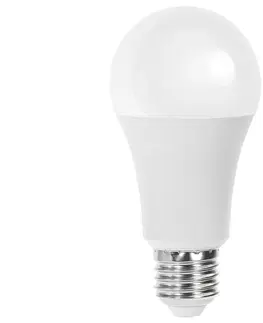 LED osvětlení  B.V. LED Žárovka A60 E27/21W/230V 6500K -  