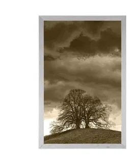 Černobílé Plakát sépiové osamělé stromy