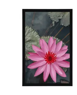 Květiny Plakát okouzlující lotosový květ