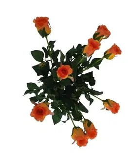Květiny Umělá květina poupě Růže oranžová, 64 cm, 9 ks