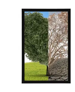 Příroda Plakát strom ve dvou podobách