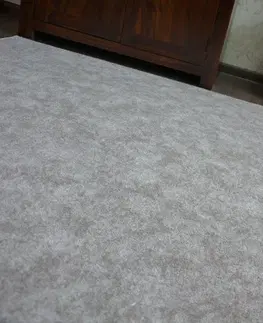 Koberce a koberečky Dywany Lusczow Kusový koberec SERENADE Hagy šedý, velikost 250x350