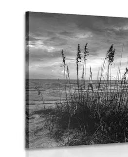 Černobílé obrazy Obraz západ slunce na pláži v černobílém provedení