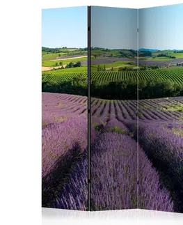 Paravány Paraván Lavender fields Dekorhome 135x172 cm (3-dílný)