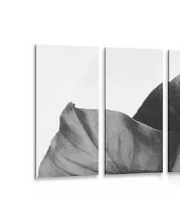 Černobílé obrazy 5-dílný obraz černobílý list monstery