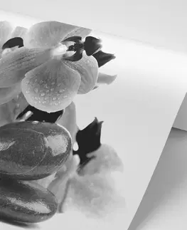 Černobílé tapety Fototapeta černobílé kameny a orchidej